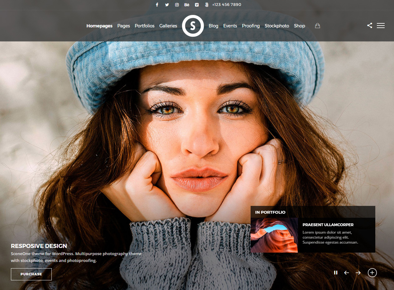 SceneOne Isotope Masonry Gallery Plugin