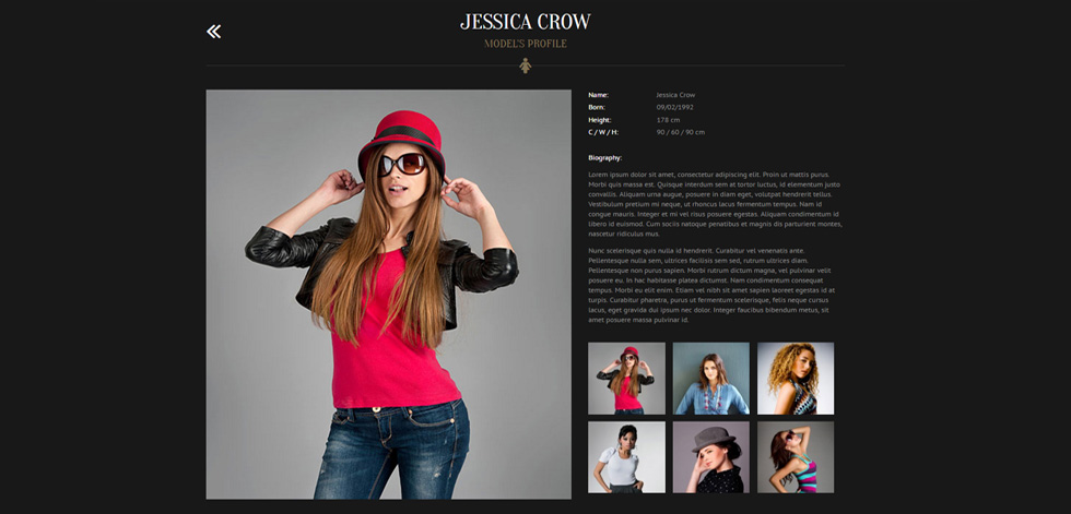 Model profile
