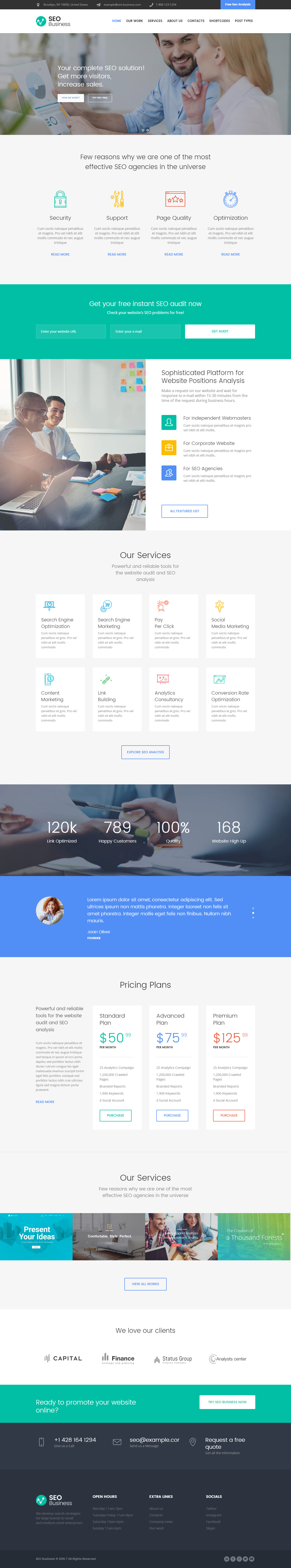 SEO Business SEO Business WordPress Themes