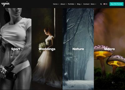 5+ Best Responsive Drupal Photography Themes