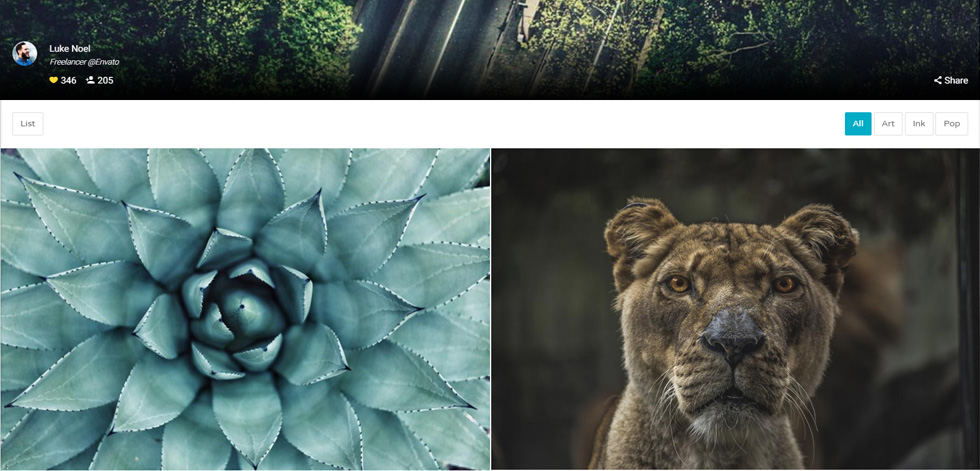 Portfolio