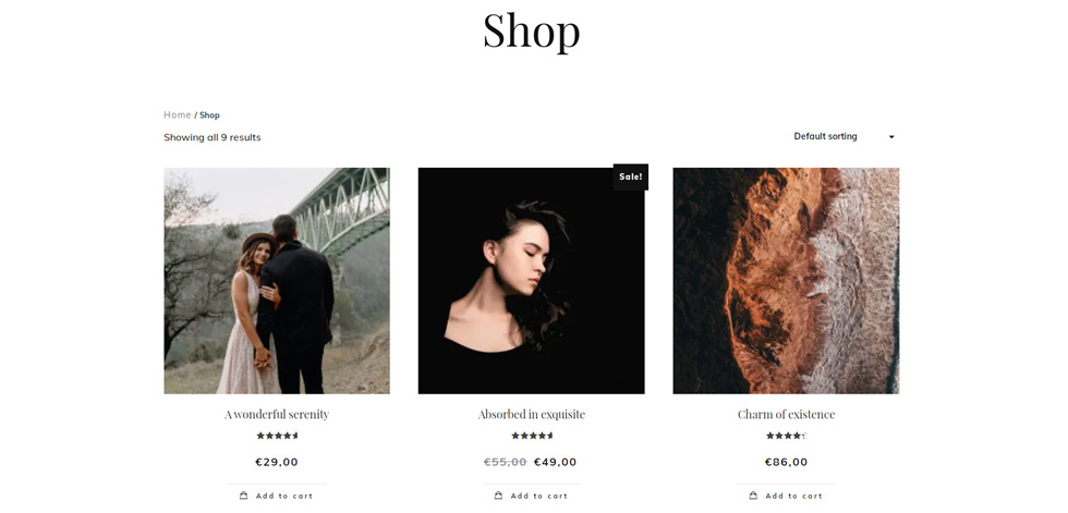 Shop page