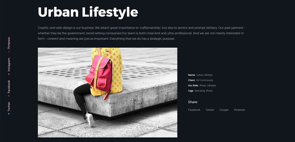 Portfolio detail