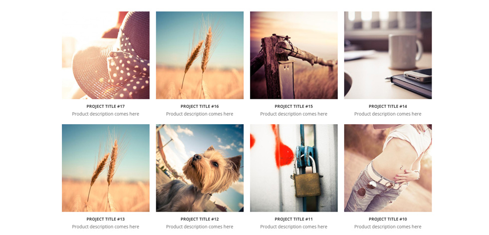 Portfolio