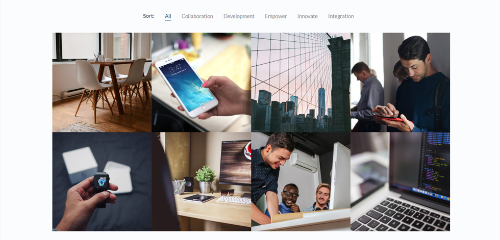 Portfolio