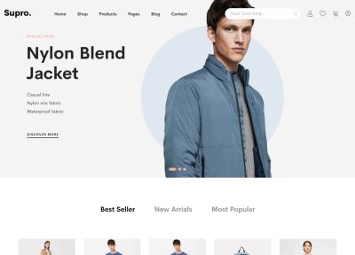 25+ Best Premium Responsive Magento Fashion and Apparel Themes in 2015