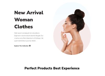 35+ Best WordPress WooCommerce Themes 2022