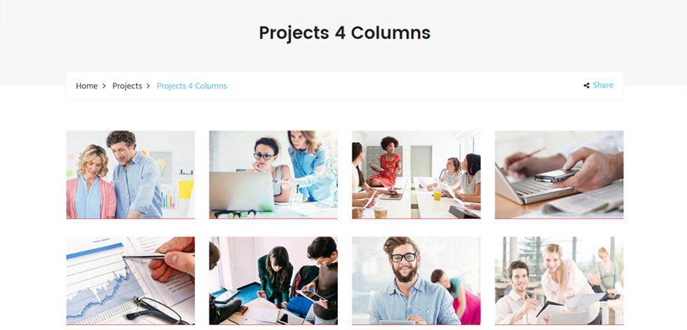 Portfolio