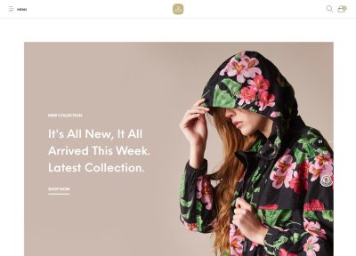 15+ Latest Fashion WordPress Themes 2018