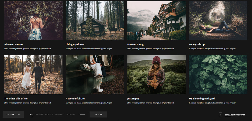 Portfolio