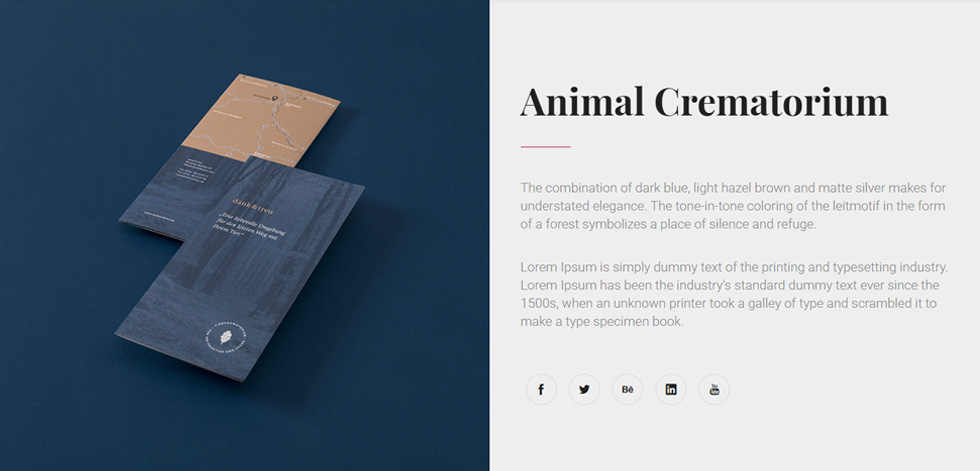 Portfolio detail