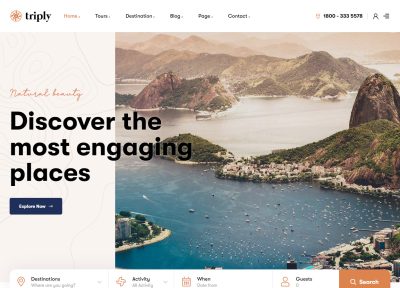 30+ Best WordPress Travel Themes 2021
