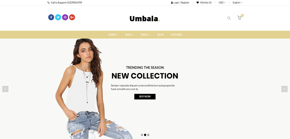 Home page