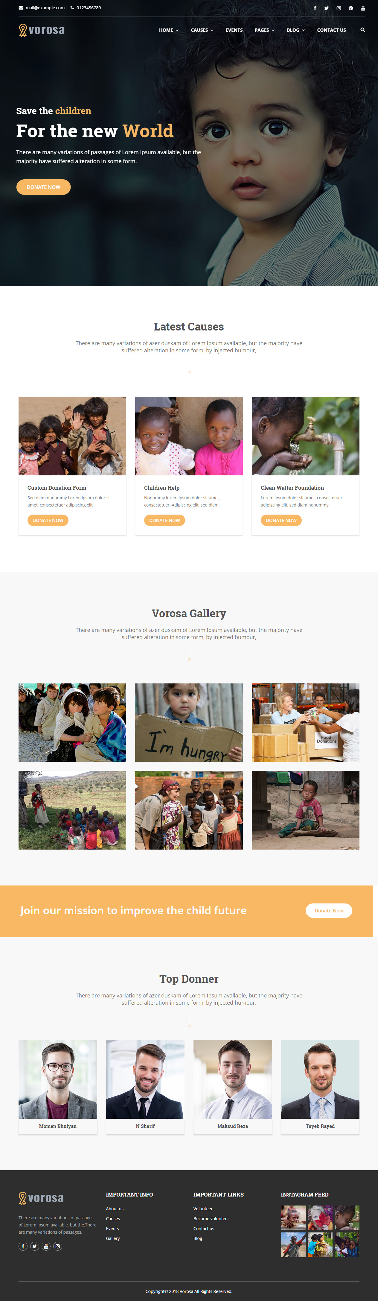 Vorosa Fundraising WordPress Theme