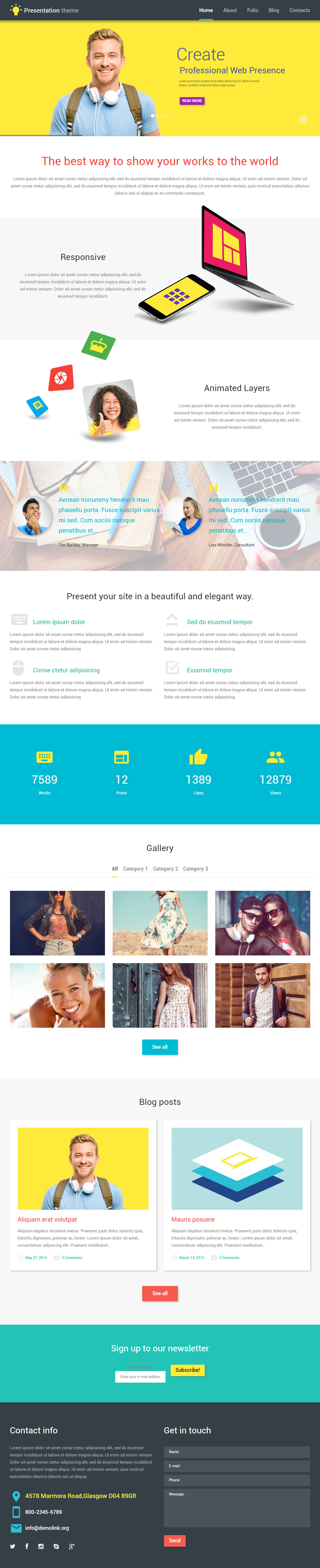 Web Presentation WordPress Web Design Theme