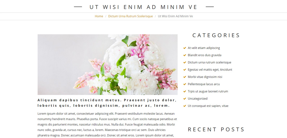 Blog post page