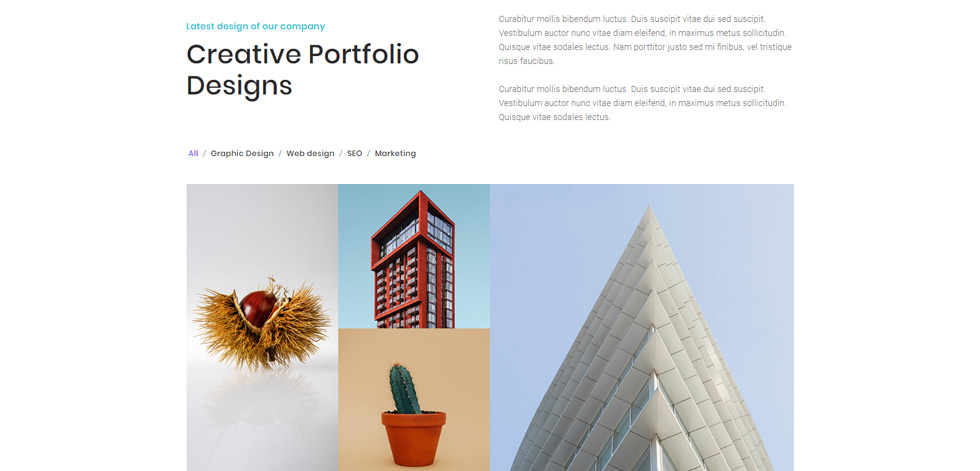 Portfolio