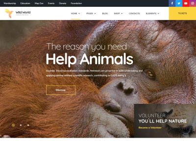 Best Responsive Ecology and Environment WordPress Themes
