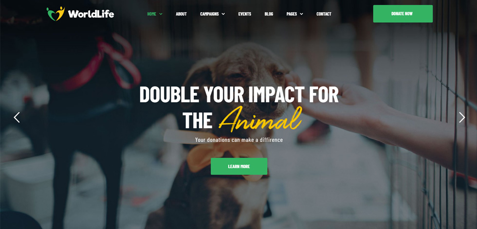 Home page