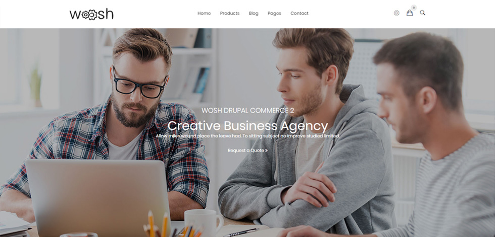 Home page