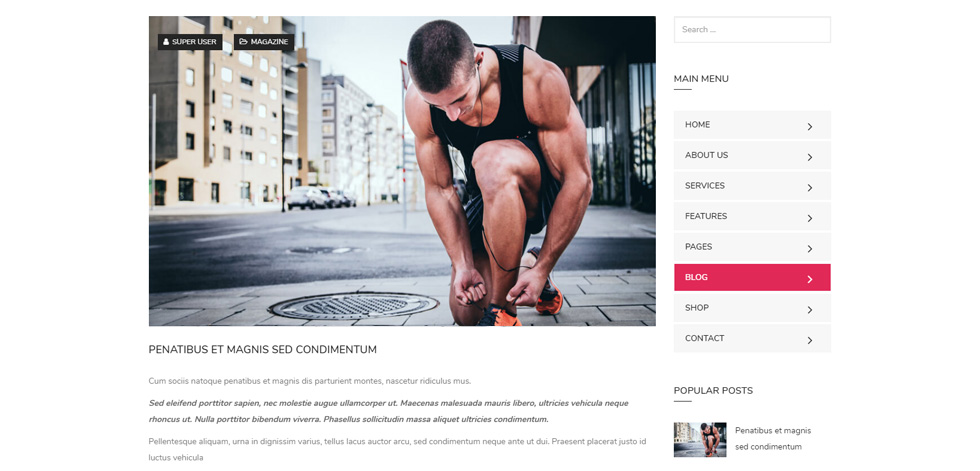 Blog post page