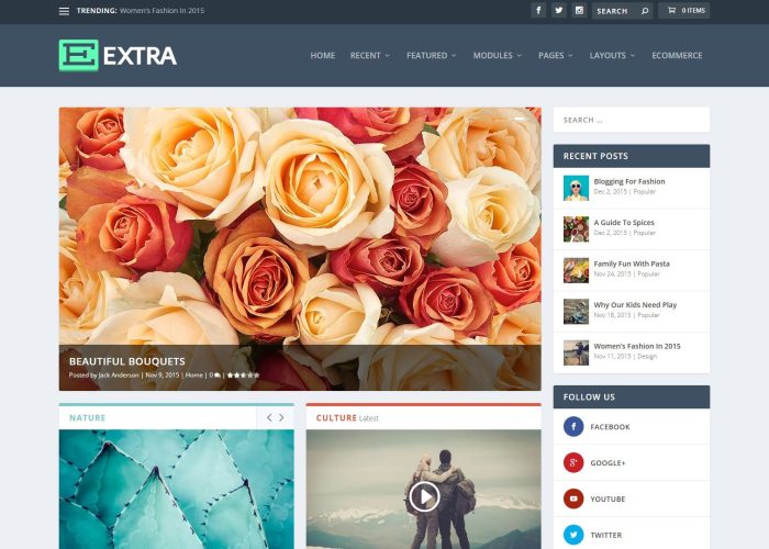 Extra – Magazine WordPress Theme by Elegant Themes
