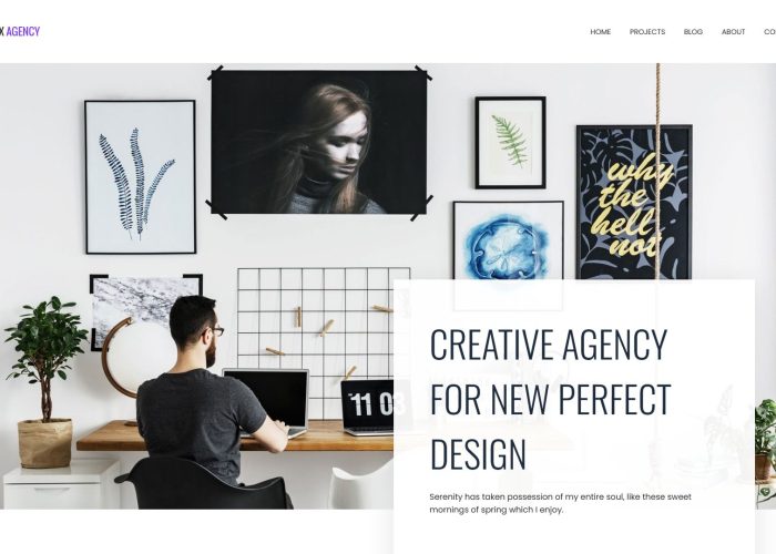 27 Best One Page Parallax WordPress Themes 2026