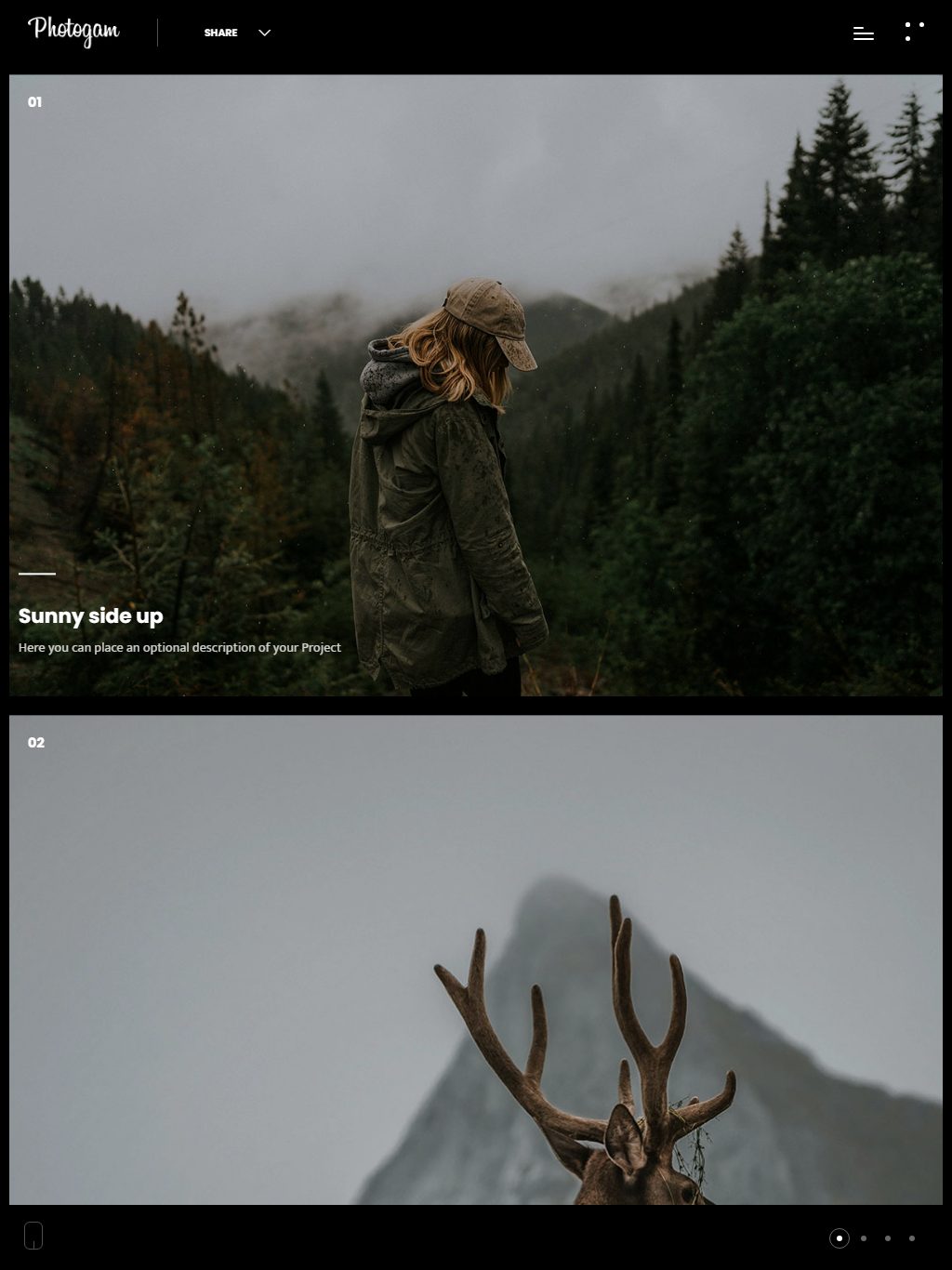 Photogam – Premium Responsive Photography Portfolio WordPress Theme theme — Tablet preview