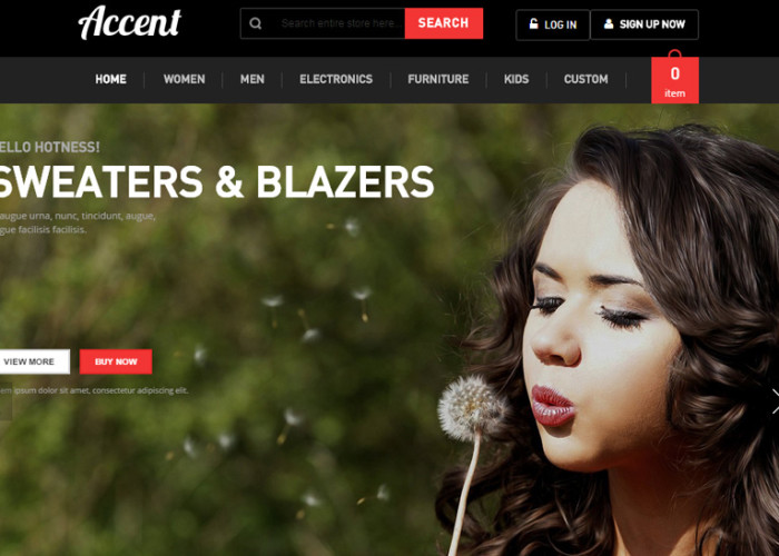 Accent – Premium Responsive Magento Theme