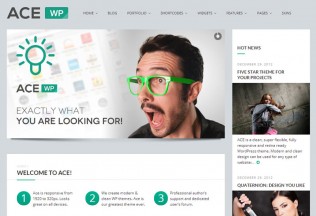 Ace – Premium Responsive WordPress All Purpose Theme