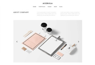Acerola – Premium Responsive Ultra Minimalist Agency HTML5 Template