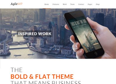 5 Best Responsive App Showcase WordPress Themes 2014