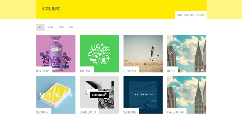 Portfolio