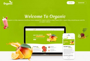 AmyOrganic – Premium Responsive Organic and Healthy WordPress Theme
