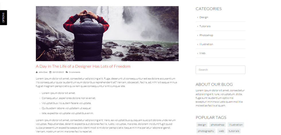 Blog post page