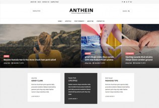 Anthein – Premium Responsive Blog WordPress Theme