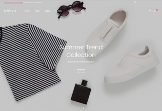 Antive – Premium Responsive WooCommerce AJAX WordPress Theme