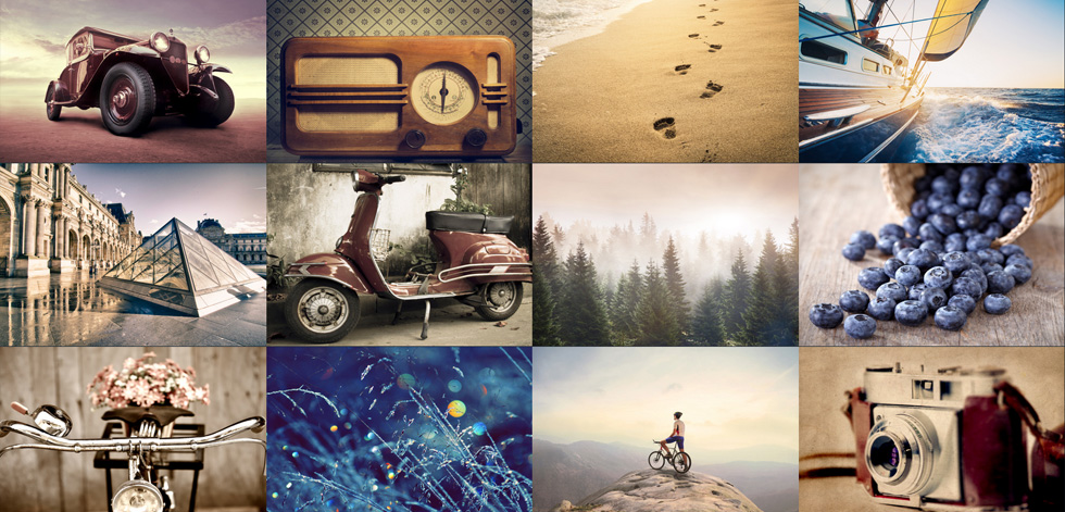 Portfolio