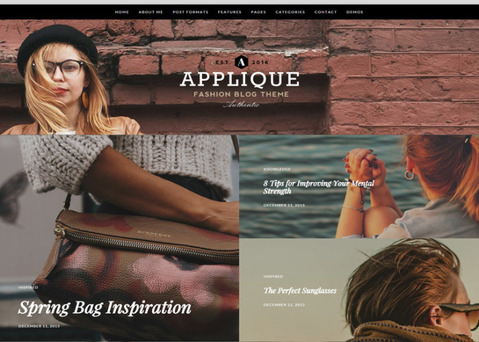 Applique – Premium Responsive Fashion Blog WordPress Theme