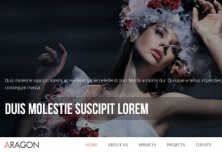 Aragon – Joomla Premium Responsive Parallax Template