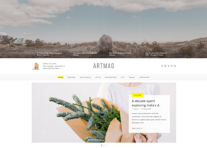 Artmag – Premium Responsive WordPress Magazine Theme