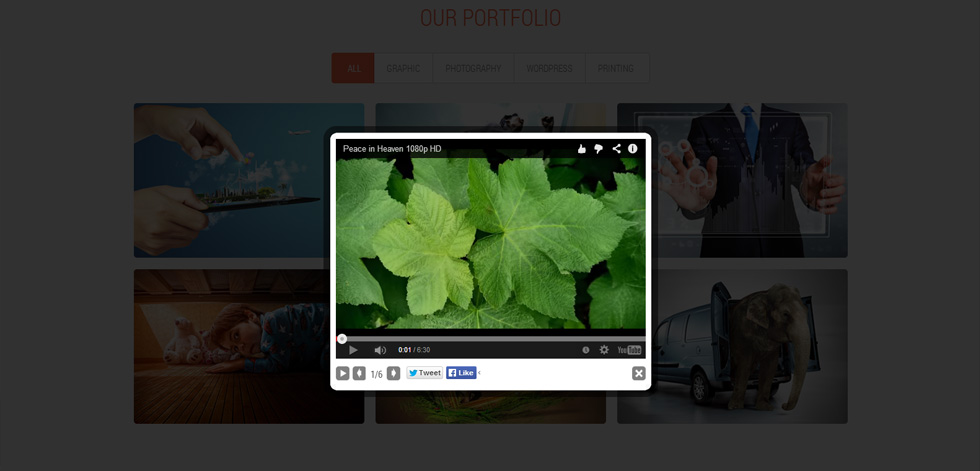 Portfolio item