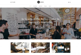Aspen – Premium Responsive Blog WordPress Theme