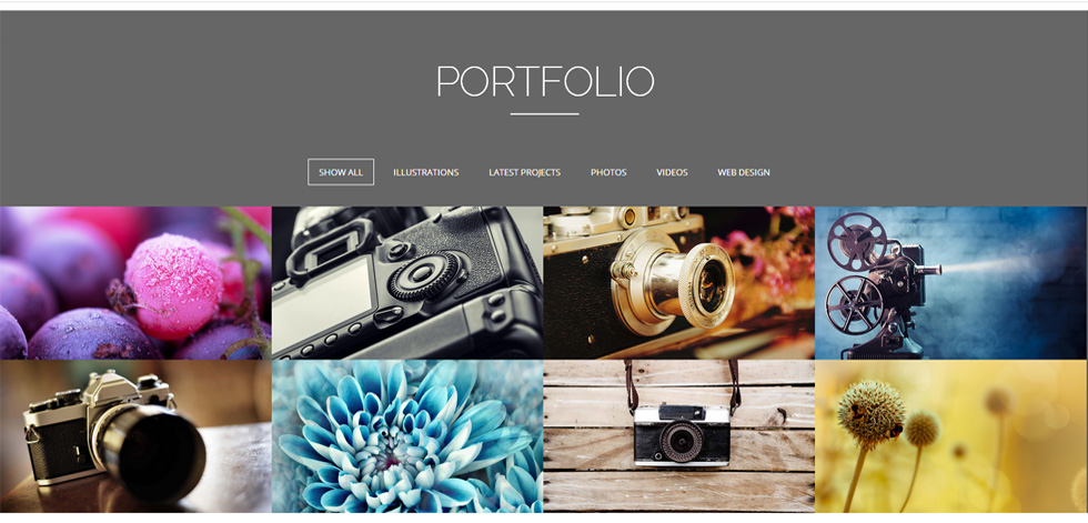Portfolio