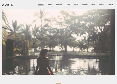 15+ Best Agency Muse Templates 2015