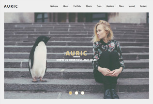 Auric – Premium One Page Modern Muse Template
