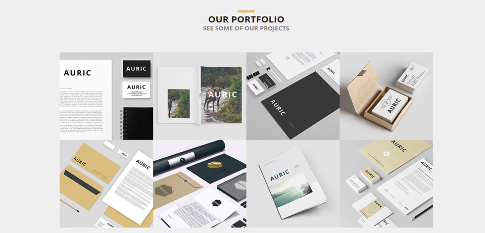 Porfolio