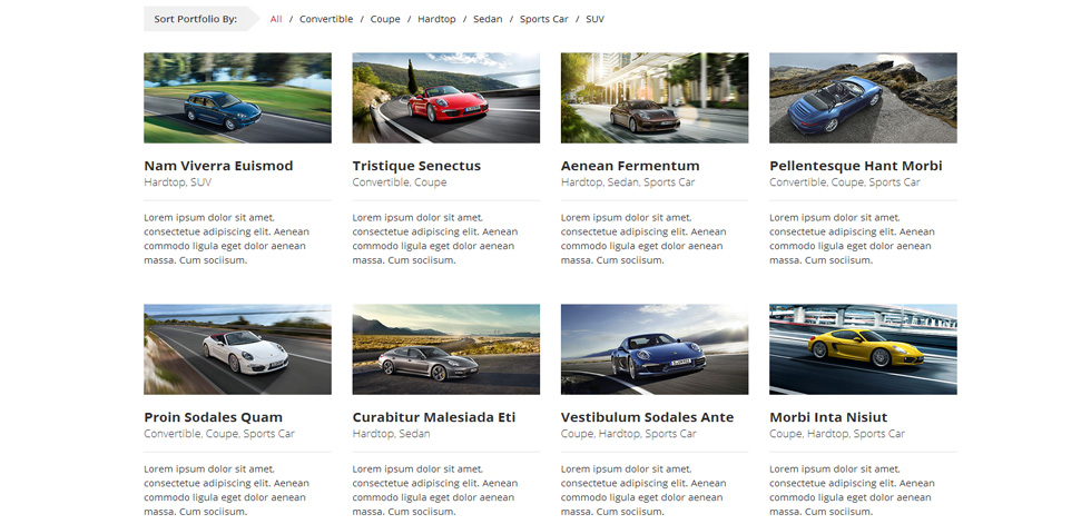 Portfolio