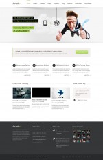5+ Best Responsive WordPress Themes using Isotope in 2013