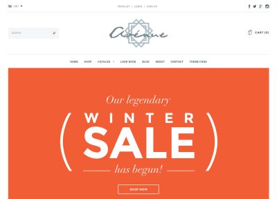 5+ Best Shopify Themes 2016